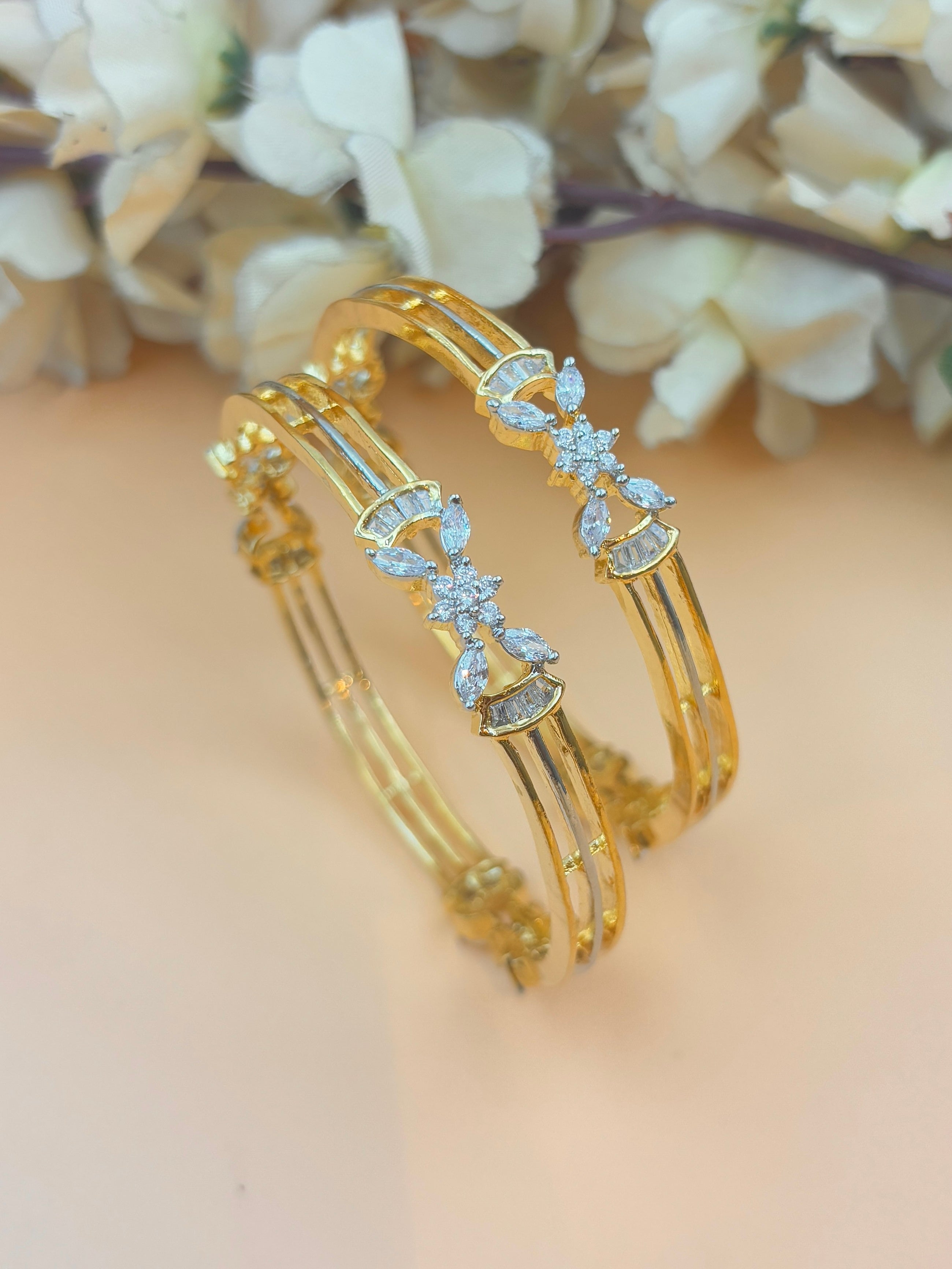 AANYA BANGLE