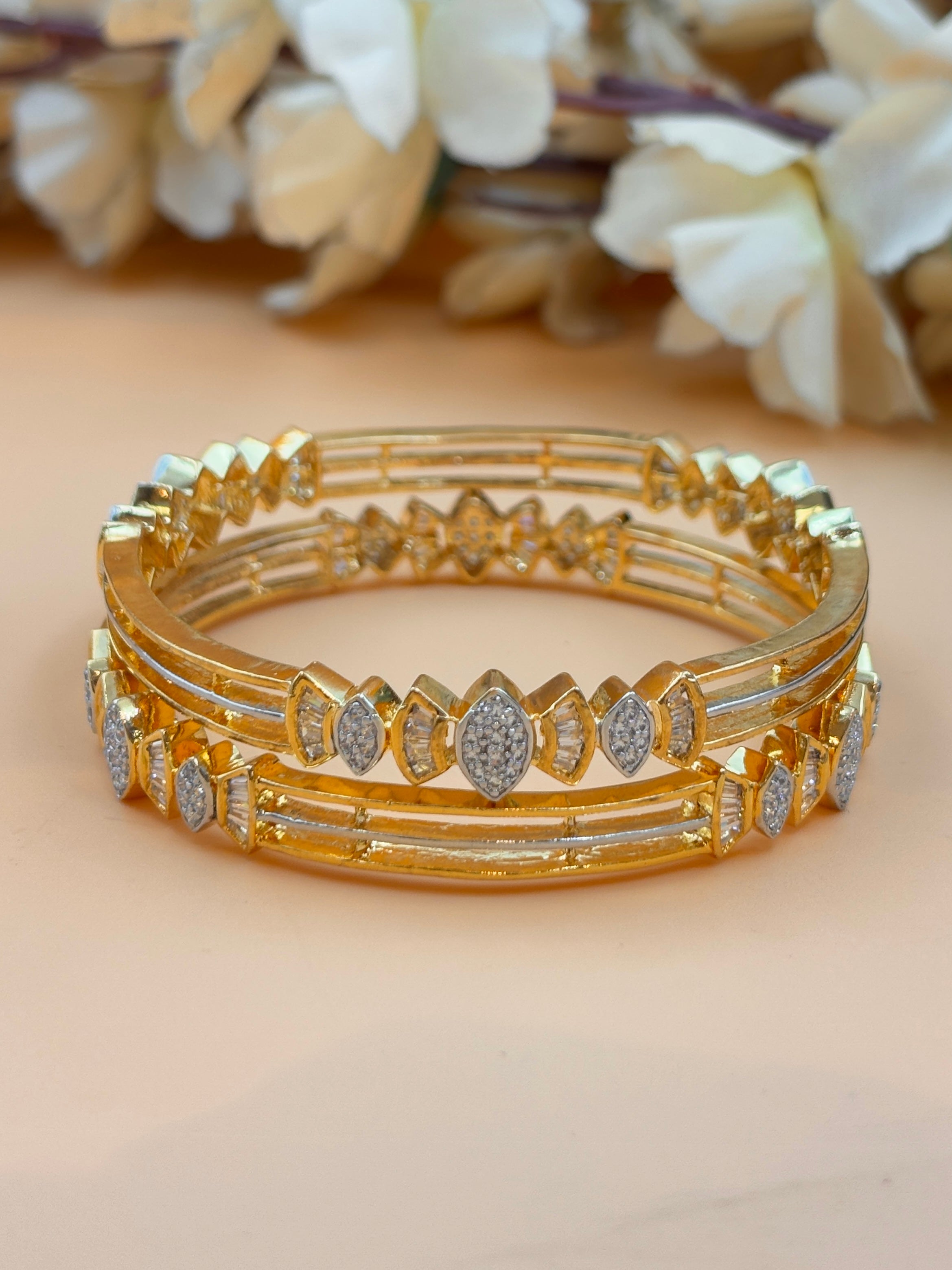 ANANYA BANGLE