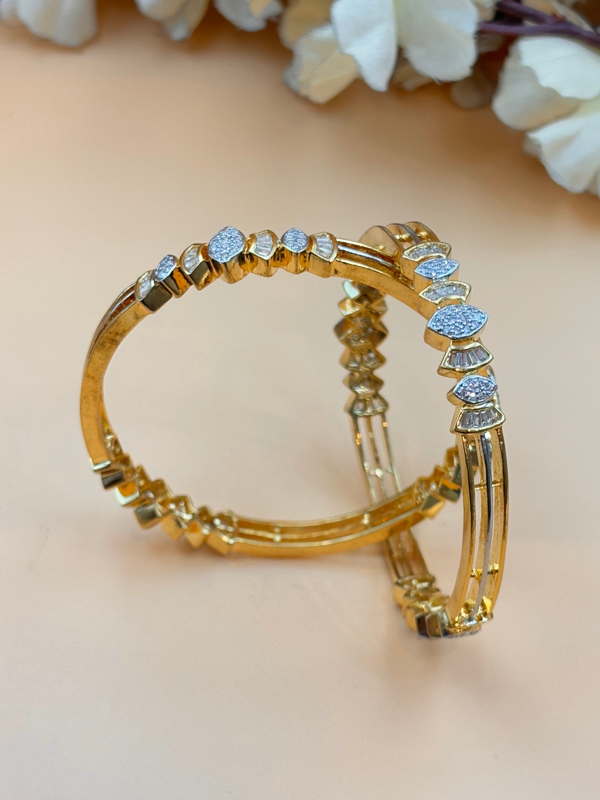 ANANYA BANGLE