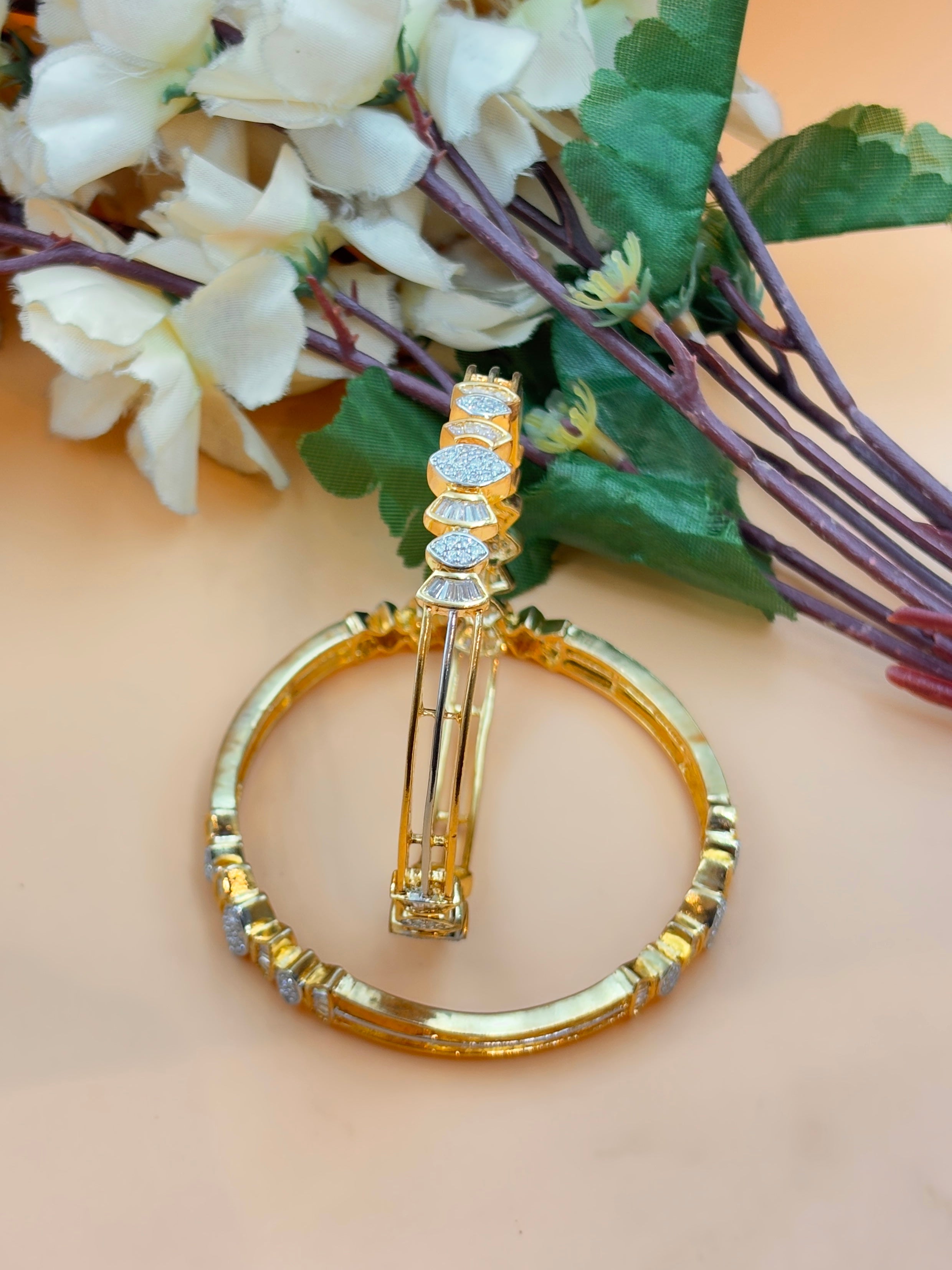 ANANYA BANGLE