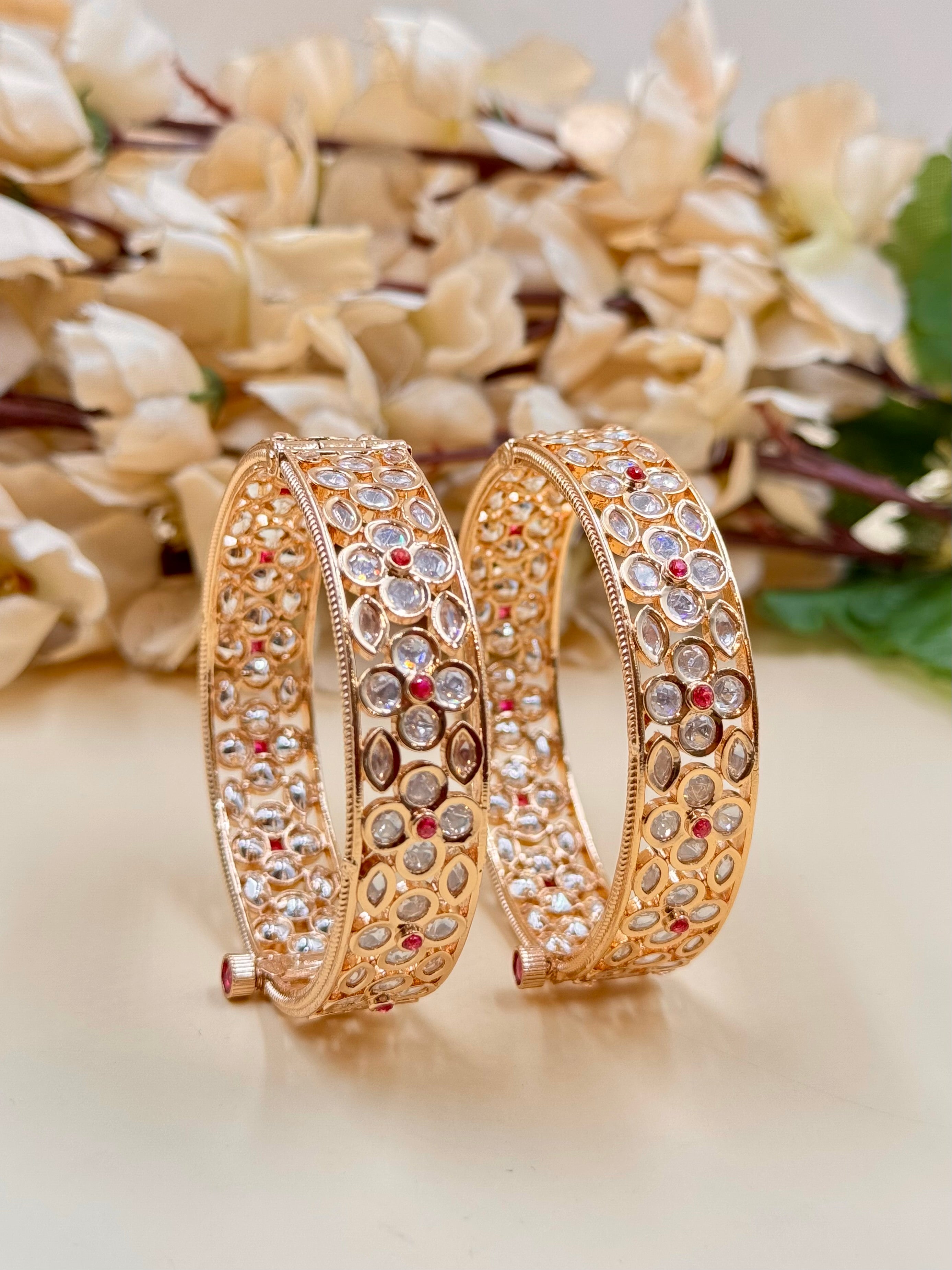ASHNA BANGLE