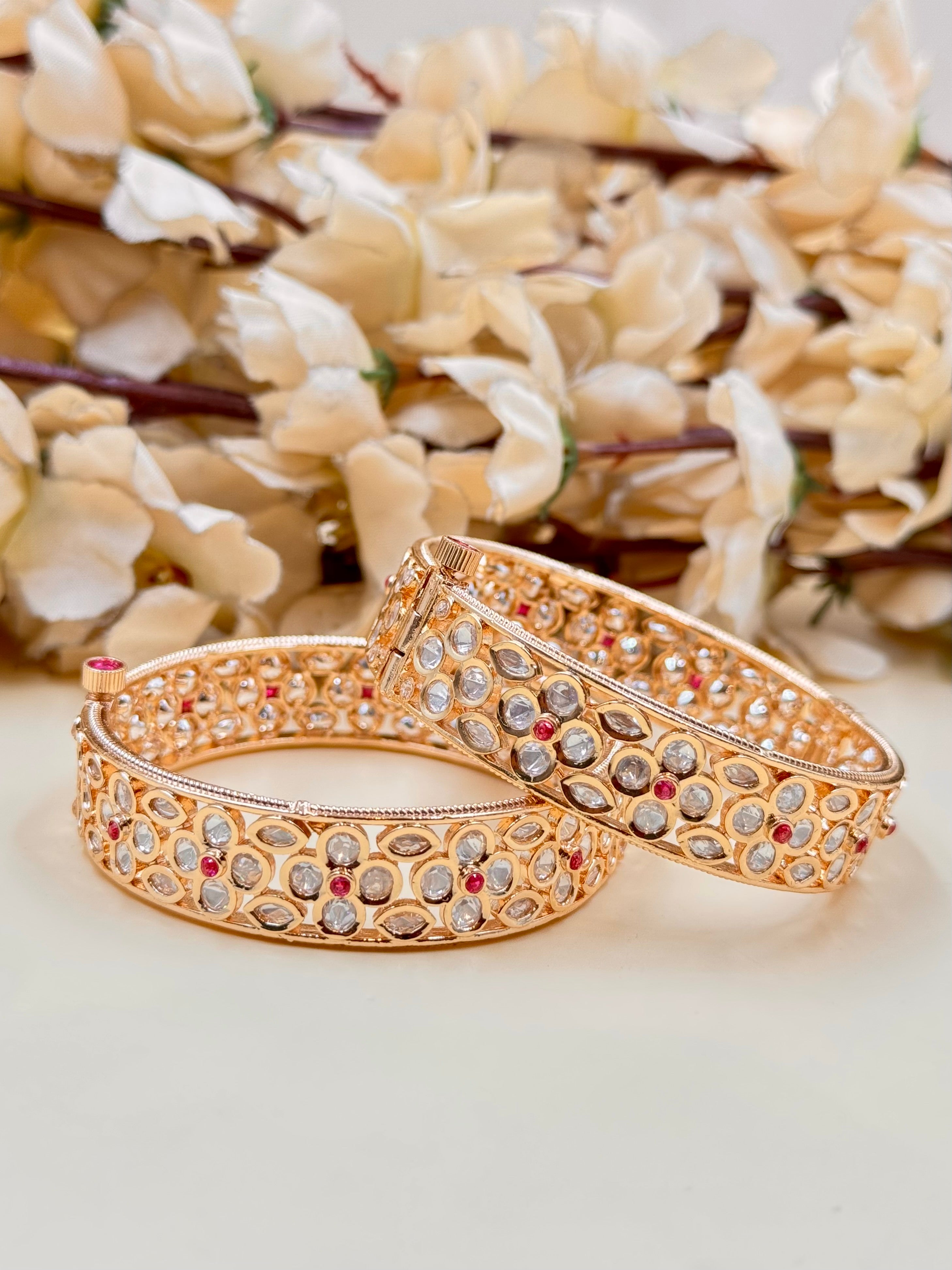ASHNA BANGLE