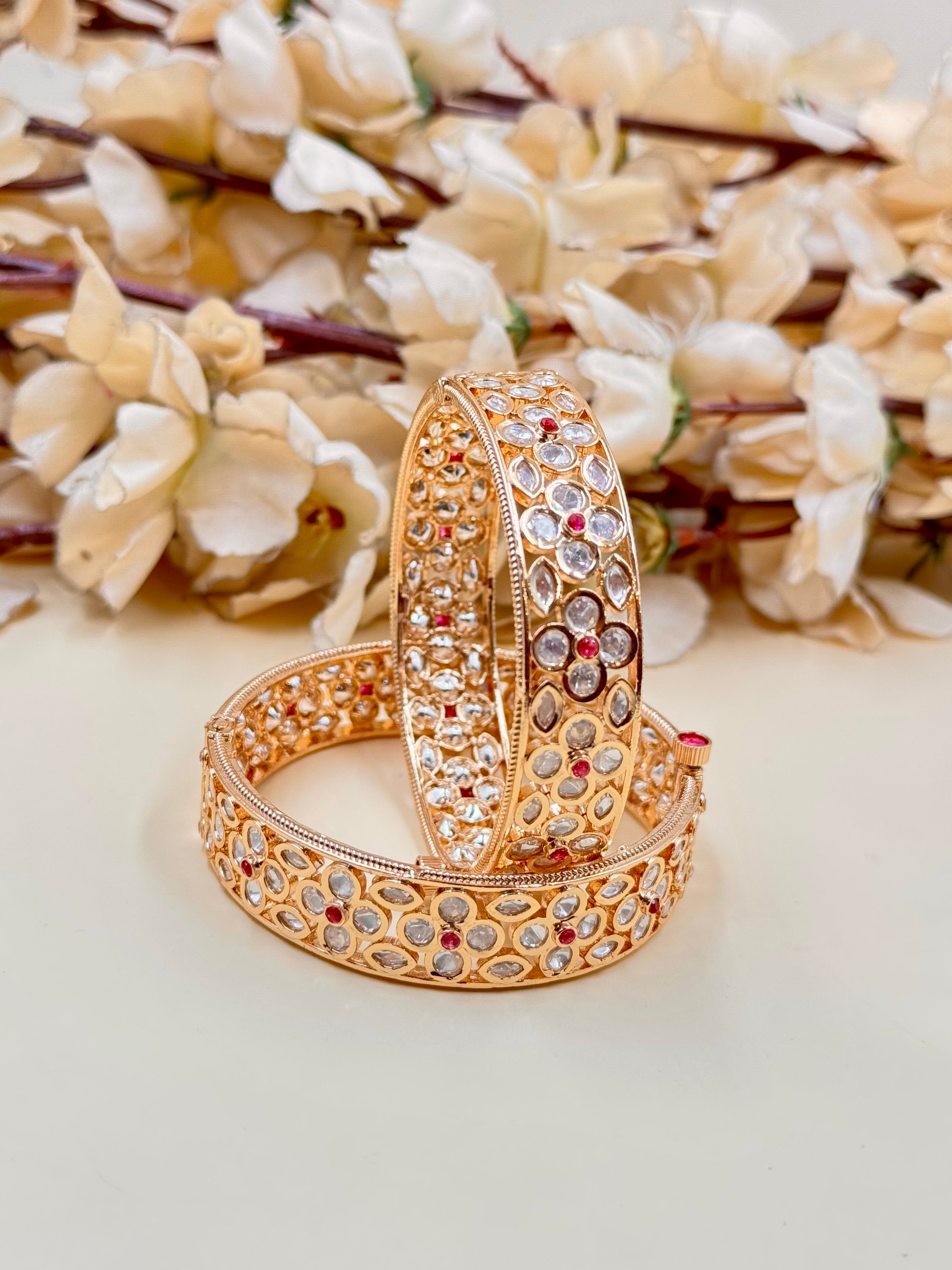 ASHNA BANGLE